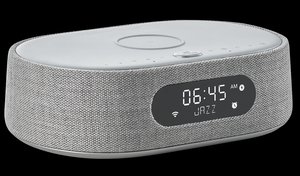 Harman/Kardon Citation Oasis FM Gray (HKCITAOASISFMGRYEP) — Портативная колонка с радиочасами 12 Вт 1-008692 фото