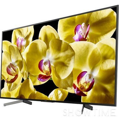 Телевізор SonyKD-43XG8096 478473 фото