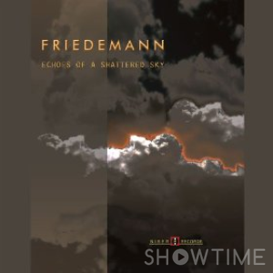 Вінілова пластинка LP Friedemann - Echoes Of A Shattered Sky 528259 фото