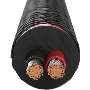 Акустичний кабель Dali CONNECT SC RM230ST 3.00 мм бухта 50 м 529190 фото