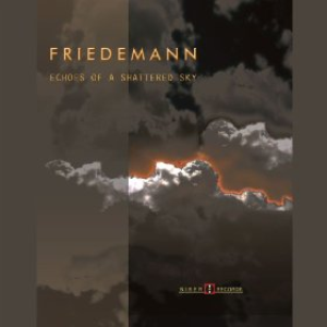 Вінілова пластинка LP Friedemann - Echoes Of A Shattered Sky 528259 фото