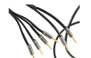 Кабель акустический Atlas Cables Hyper Achromatic 3.5 3 m с бананами Rhodium Z plug 529412 фото